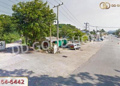 Street view with trees and utility poles