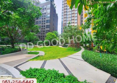 Beautiful landscaped garden with modern high-rise buildings in the background