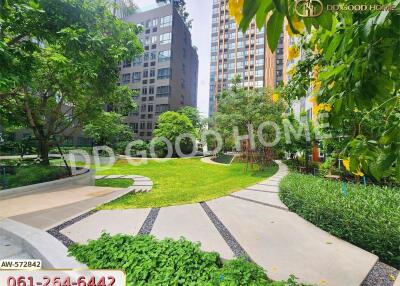 Beautiful garden area with walking paths surrounded by modern apartments