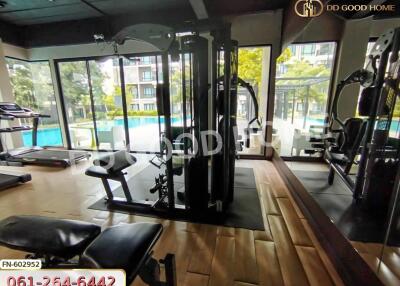 Modern gym with equipment and a view of the swimming pool