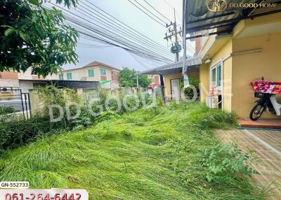 Front yard with overgrown grass