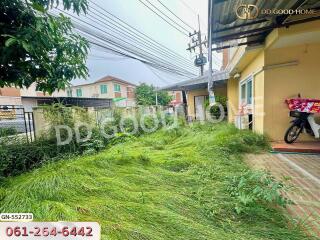 Front yard with overgrown grass