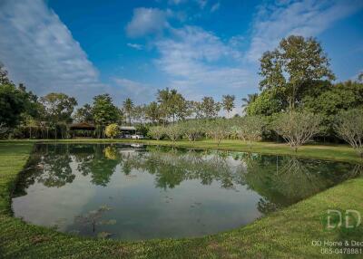 Beautiful pond with surrounding greenery and trees