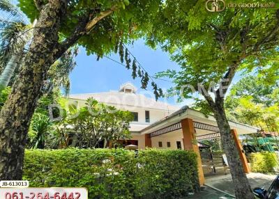 Exterior view of a house with lush greenery