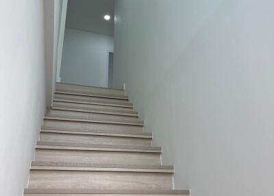 wooden staircase with white walls and overhead lighting