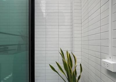 Small modern balcony with a potted plant