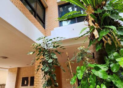 building interior with green plants and brick walls