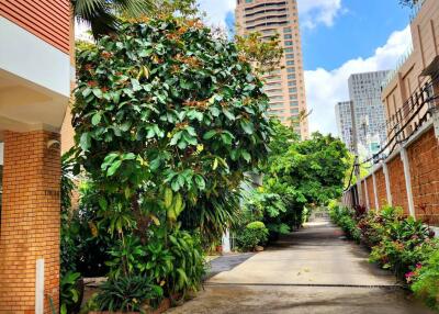 Outdoor view of a pathway surrounded by greenery and buildings