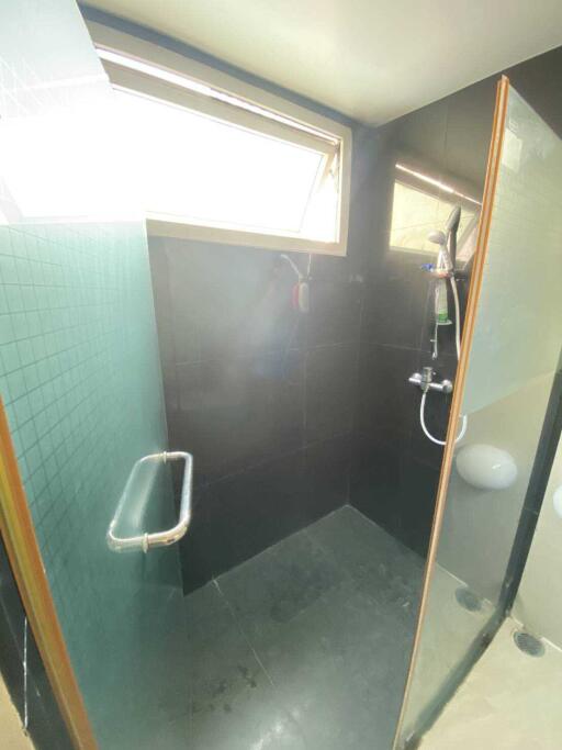 Bathroom with walk-in shower and large window