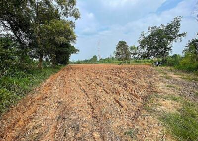 Expansive open land plot with trees in the background