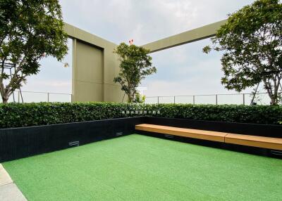 Rooftop garden with seating area and lush greenery
