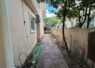 Sidewalk and backyard view