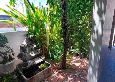 Lush green outdoor area with decorative fountain