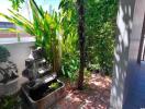 Lush green outdoor area with decorative fountain