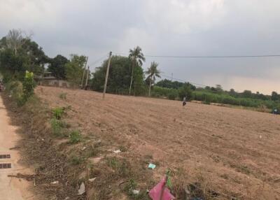 Open land with some vegetation and distant trees