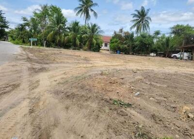Vacant plot of land with vegetation and nearby structures