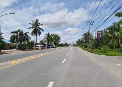 Road view with palm trees and houses