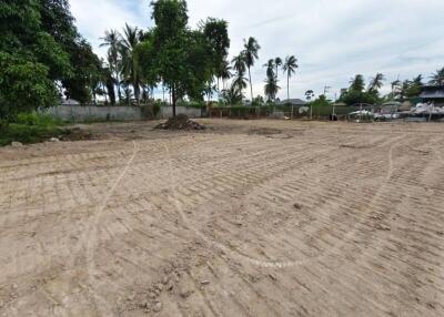 Empty lot with trees and partially cleared ground