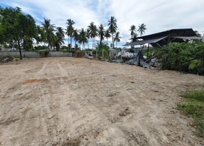 Vacant land with palm trees and a shed