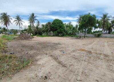 Empty plot of land with palm trees