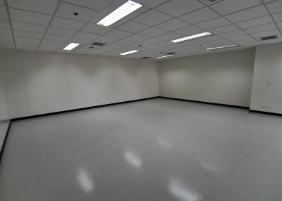 Empty room with tiled ceiling and fluorescent lighting