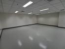 Empty room with tiled ceiling and fluorescent lighting