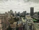 Cityscape view of modern high-rise buildings