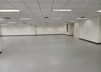 Spacious empty room with white walls and ceiling tiles