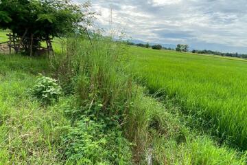 A nice plot for sale in Sankhampeang, Chiang Mai