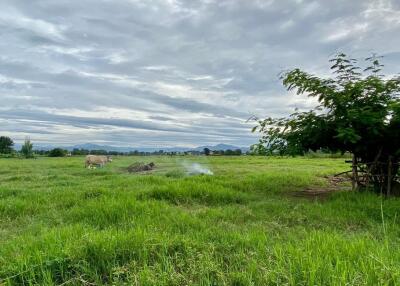 A nice plot for sale in Sankhampeang, Chiang Mai