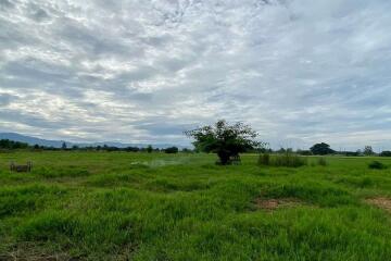 A nice plot for sale in Sankhampeang, Chiang Mai