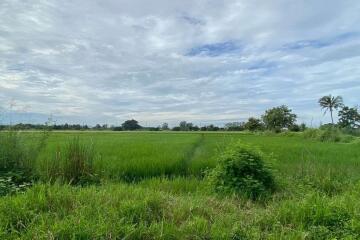 A nice plot for sale in Sankhampeang, Chiang Mai