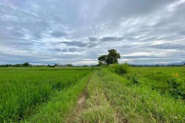 A nice plot for sale in Sankhampeang, Chiang Mai