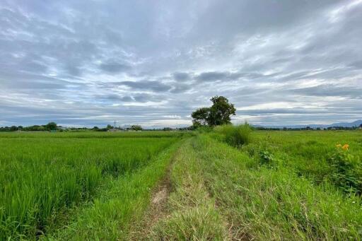 A nice plot for sale in Sankhampeang, Chiang Mai