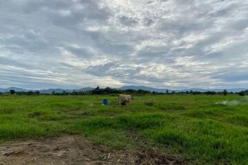 A nice plot for sale in Sankhampeang, Chiang Mai