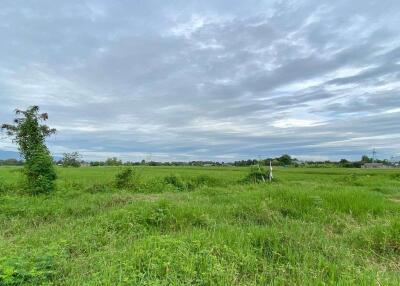 A nice plot for sale in Sankhampeang, Chiang Mai