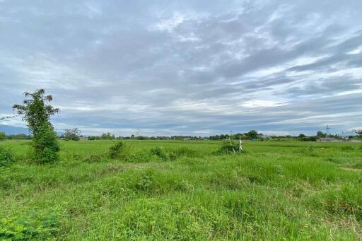 A nice plot for sale in Sankhampeang, Chiang Mai