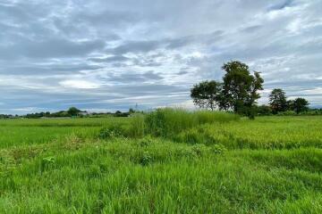 A nice plot for sale in Sankhampeang, Chiang Mai