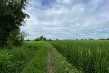 A nice plot for sale in Sankhampeang, Chiang Mai