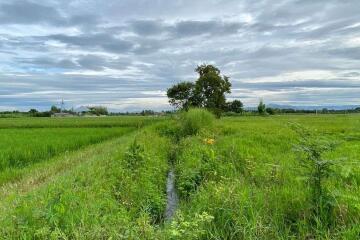 A nice plot for sale in Sankhampeang, Chiang Mai