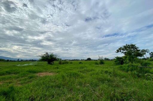 A nice plot for sale in Sankhampeang, Chiang Mai