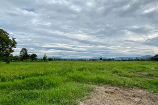 A nice plot for sale in Sankhampeang, Chiang Mai