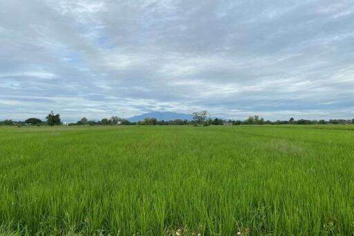 A nice plot for sale in Sankhampeang, Chiang Mai