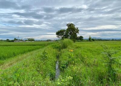 A nice plot for sale in Sankhampeang, Chiang Mai