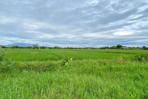 A nice plot for sale in Sankhampeang, Chiang Mai