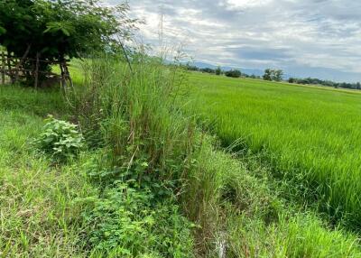 A nice plot for sale in Sankhampeang, Chiang Mai