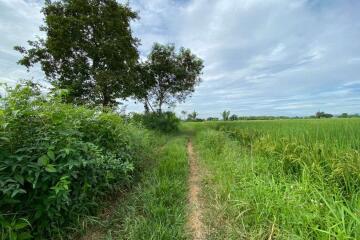 A nice plot for sale in Sankhampeang, Chiang Mai