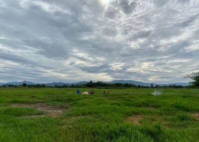 A nice plot for sale in Sankhampeang, Chiang Mai