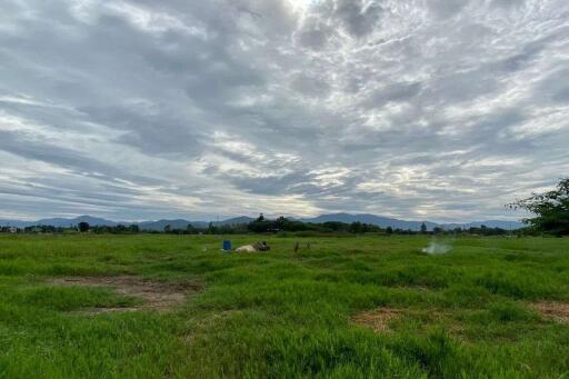 A nice plot for sale in Sankhampeang, Chiang Mai