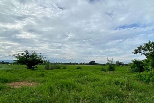 A nice plot for sale in Sankhampeang, Chiang Mai